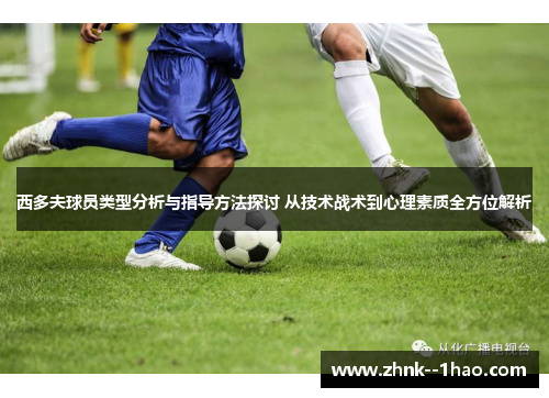 西多夫球员类型分析与指导方法探讨 从技术战术到心理素质全方位解析 西多夫球员类型分析与指导方法探讨 从技术战术到心理素质全方位解析