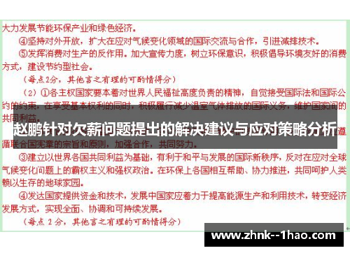 赵鹏针对欠薪问题提出的解决建议与应对策略分析