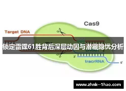 锁定雷霆61胜背后深层动因与潜藏隐忧分析