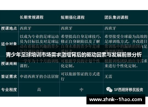 青少年足球培训市场需求激增背后的驱动因素与发展前景分析
